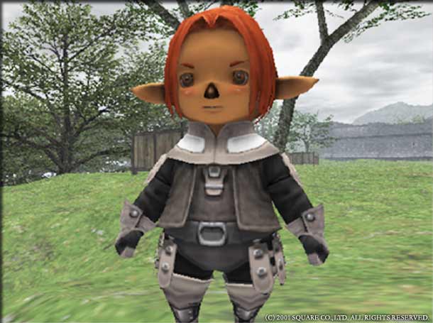 Final Fantasy XI (PS2) - Shot 3