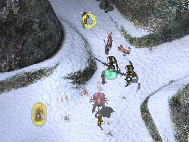 Icewind Dale 2 - Shot 4