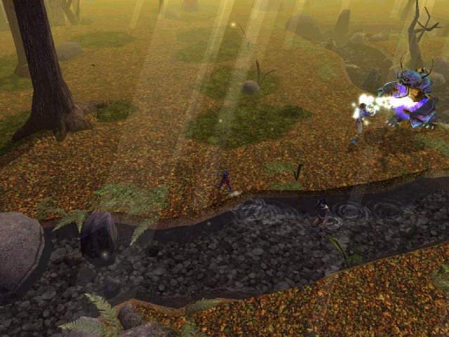 Neverwinter Nights - Shot 9