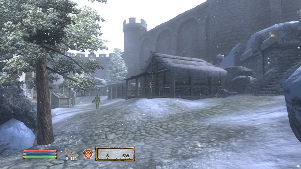 The Elder Scrolls IV: Oblivion - Shot 3