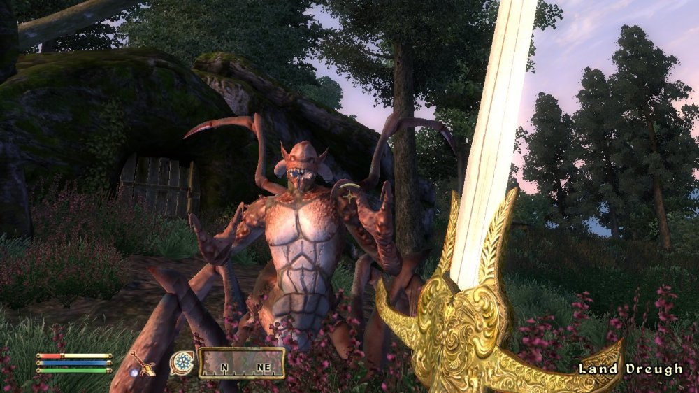 The Elder Scrolls IV: Oblivion - Shot 5