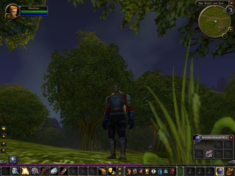 World of Warcraft (PC) - Shot 10
